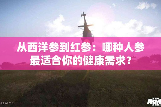 从西洋参到红参：哪种人参最适合你的健康需求？