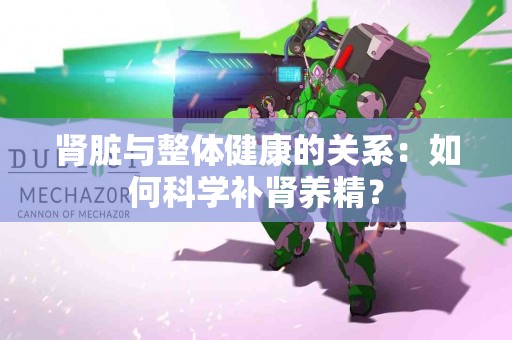 肾脏与整体健康的关系：如何科学补肾养精？