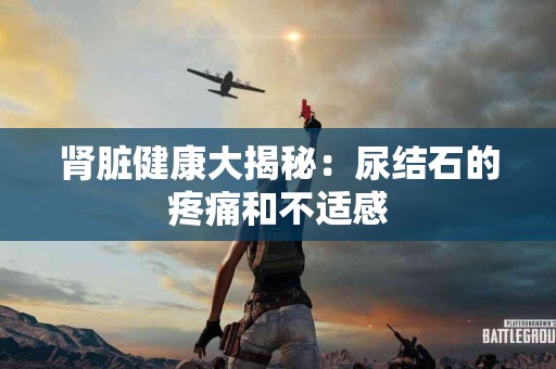 肾脏健康大揭秘：尿结石的疼痛和不适感