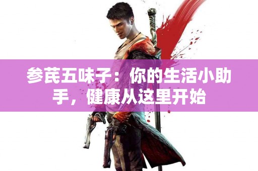 参芪五味子：你的生活小助手，健康从这里开始