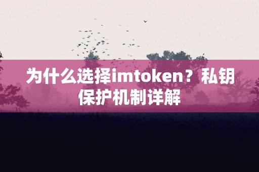 为什么选择imtoken？私钥保护机制详解