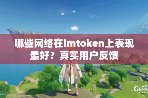 哪些网络在imtoken上表现最好？真实用户反馈