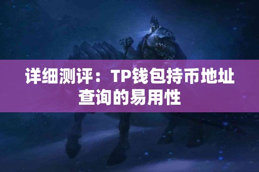 详细测评：TP钱包持币地址查询的易用性