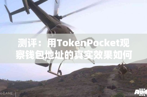 测评：用TokenPocket观察钱包地址的真实效果如何