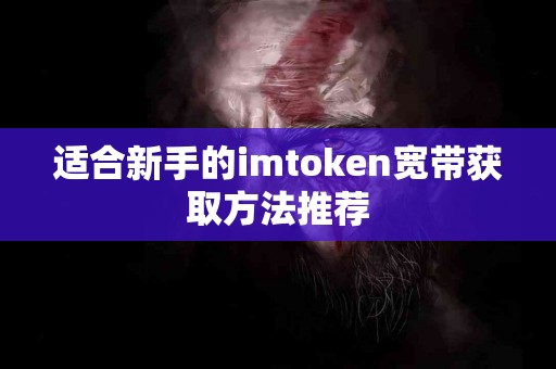适合新手的imtoken宽带获取方法推荐