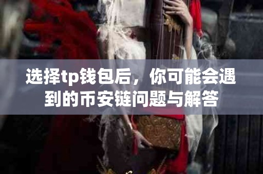 选择tp钱包后，你可能会遇到的币安链问题与解答