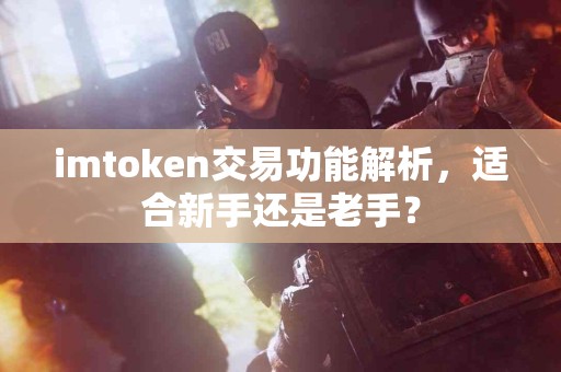 imtoken交易功能解析，适合新手还是老手？