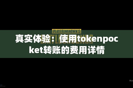 真实体验：使用tokenpocket转账的费用详情