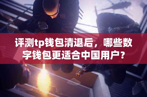 评测tp钱包清退后，哪些数字钱包更适合中国用户？