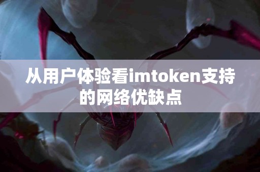 从用户体验看imtoken支持的网络优缺点