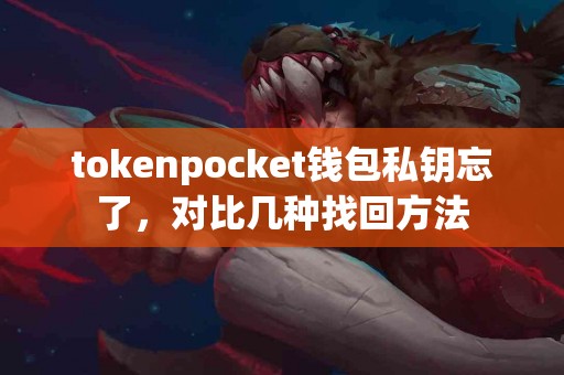 tokenpocket钱包私钥忘了，对比几种找回方法
