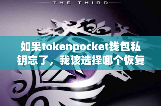 如果tokenpocket钱包私钥忘了，我该选择哪个恢复方式？