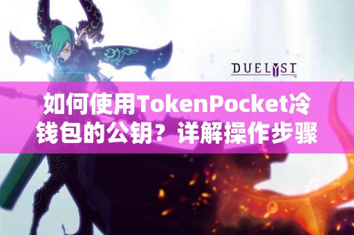 如何使用TokenPocket冷钱包的公钥？详解操作步骤