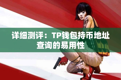 详细测评：TP钱包持币地址查询的易用性