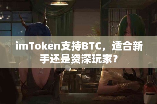 imToken支持BTC，适合新手还是资深玩家？