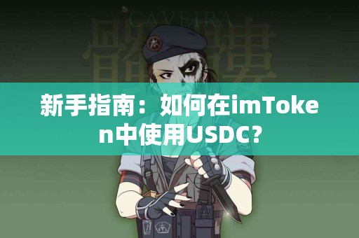 新手指南：如何在imToken中使用USDC？