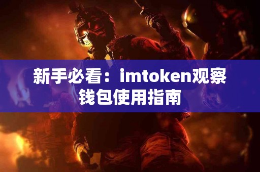 新手必看：imtoken观察钱包使用指南