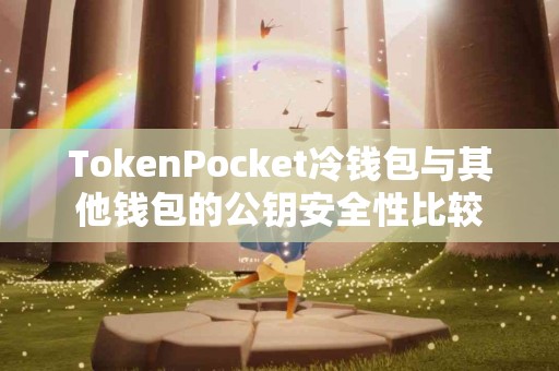 TokenPocket冷钱包与其他钱包的公钥安全性比较