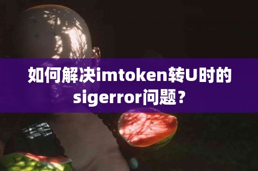 如何解决imtoken转U时的sigerror问题？