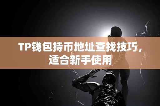TP钱包持币地址查找技巧，适合新手使用