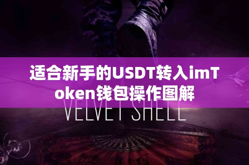 适合新手的USDT转入imToken钱包操作图解