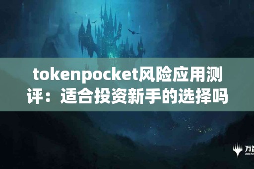 tokenpocket风险应用测评：适合投资新手的选择吗？
