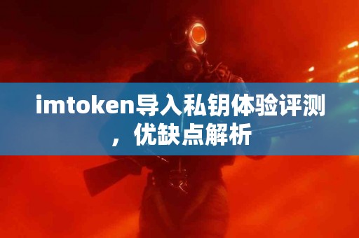imtoken导入私钥体验评测，优缺点解析