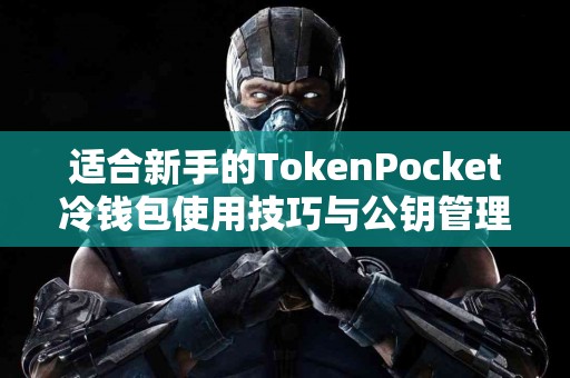 适合新手的TokenPocket冷钱包使用技巧与公钥管理