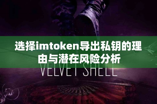 选择imtoken导出私钥的理由与潜在风险分析