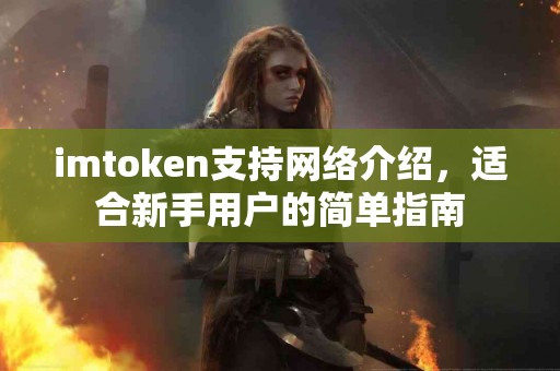 imtoken支持网络介绍，适合新手用户的简单指南