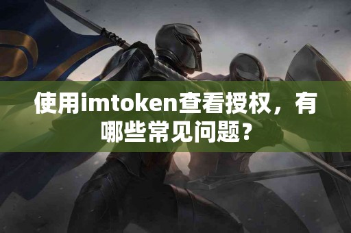 使用imtoken查看授权，有哪些常见问题？
