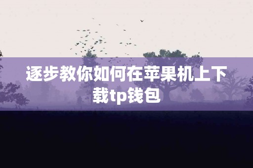 逐步教你如何在苹果机上下载tp钱包