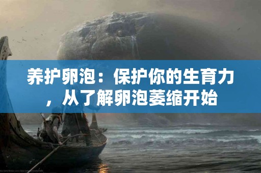养护卵泡：保护你的生育力，从了解卵泡萎缩开始