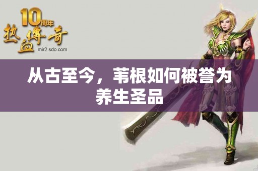 从古至今，苇根如何被誉为养生圣品